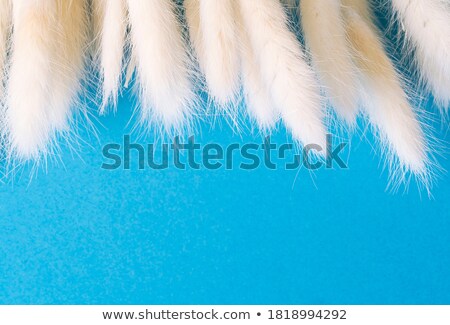 Foto stock: Autumn Landscape With Green Farm Agricultural Fields And Blue Sky Austria