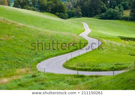 Stock fotó: Path Between Green Fields