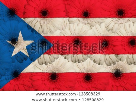 Stylized National Flag Of Puertorico With Gerbera Flowers [[stock_photo]] © vepar5