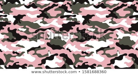 Stock photo: Light Green Army Camouflage Background