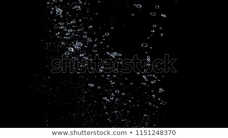 Water Bubbles In Dark Transparent Stock photo © gnepphoto