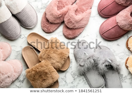 Stock fotó: Pair Of Slippers