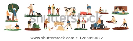 ストックフォト: Farmer With Pig And Cow Set Vector Illustration