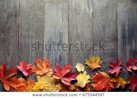 ストックフォト: Yellow And Green Leaf With The Inscription Autumn On The Old Wooden Background