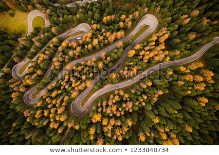 ストックフォト: Aerial Top Down View Of Autumn Forest With Green And Yellow Trees Mixed Deciduous And Coniferous Fo