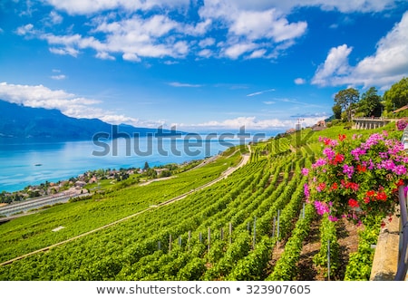 Foto stock: Montreux Vevey And Swiss Riviera