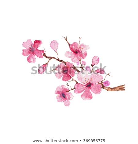Stock fotó: Abstract Tree With Spring Cherry Blossom Flowers
