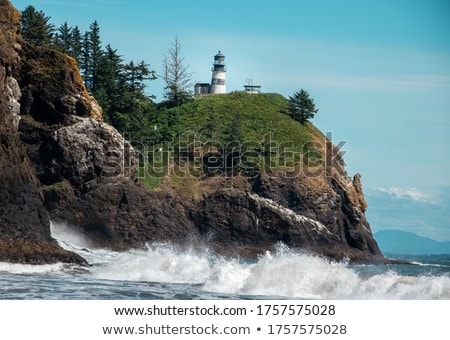 ストックフォト: The Lighthouse At Cape Disappointment