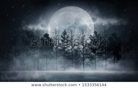 Stock foto: Moonlight