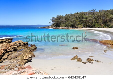 [[stock_photo]]: Tree On A Rock Jervis Bay