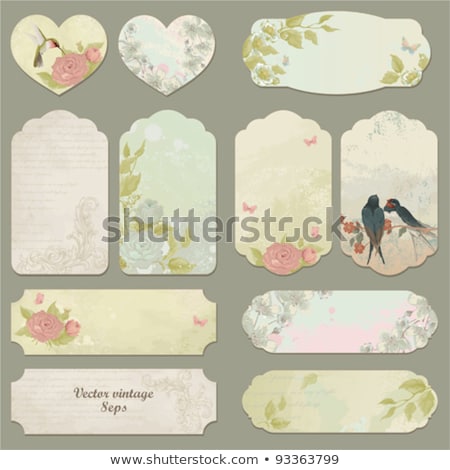 Foto d'archivio: Pink Vector Grunge Retro Vintage Background With Label