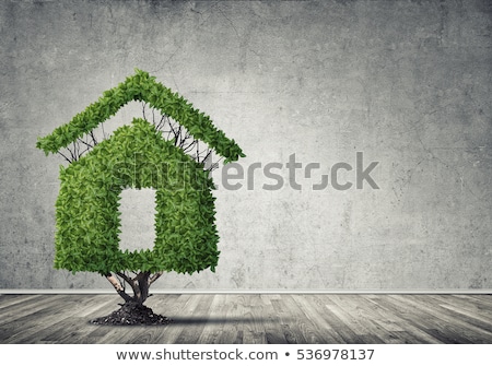 Stock fotó: Eco Friendly House - Real Estate Symbol