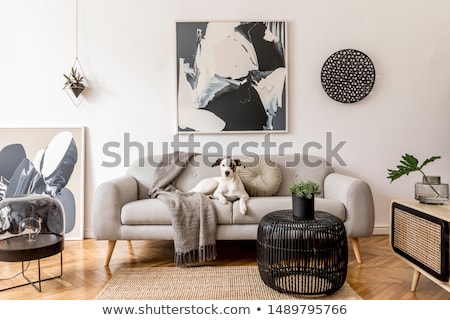 Foto stock: Dog On Couch