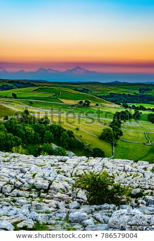 Stockfoto: Limestone Pavement In The Yorkshire Dales