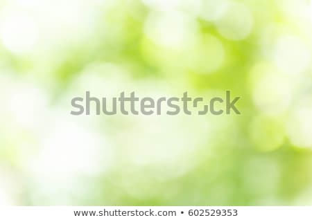 Foto stock: Natural Green Blurred Background