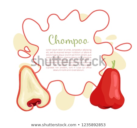 Zdjęcia stock: Champoo Exotic Ripe Fruit Vector Poster Java Apple