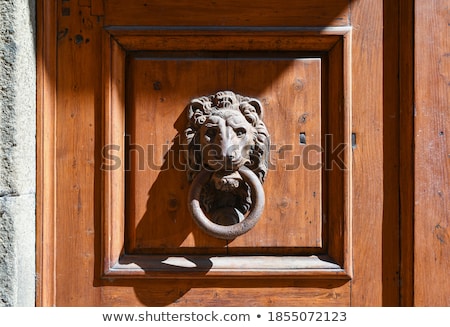 Сток-фото: Ancient Italian Lion Shaped Door Knocker