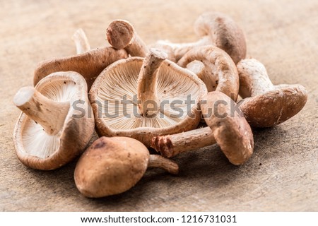 Stok fotoğraf: Shiitake Mushrooms