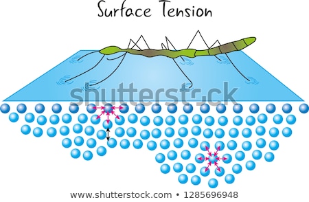 ストックフォト: Surface Tension