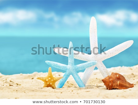 Stock photo: Beautiful Seashore