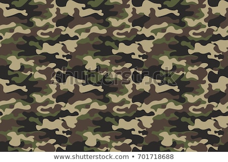 Stok fotoğraf: Light Brown Army Camouflage Background