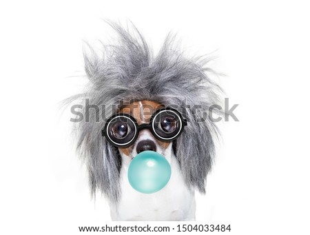 [[stock_photo]]: Intelligent Smart Dog With An Idea Chewing Bubble Gum