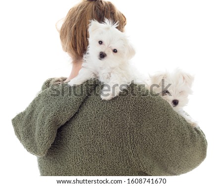 Stock photo: Woman Holding Two Young Maltese Puppies Isolated On White