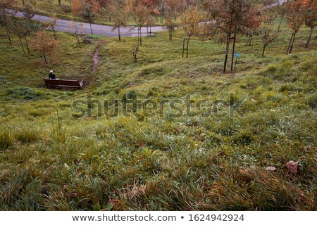 Stok fotoğraf: White Bench In Spring Park On Petrin