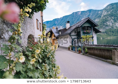 Foto d'archivio: Historic Architecture In Salzburg