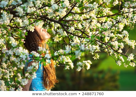 [[stock_photo]]: Emme, · sentir, · fleurs · pomme