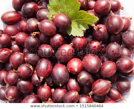 Сток-фото: Fresh Tasty Gooseberries Macro Closeup On Market Outdoor