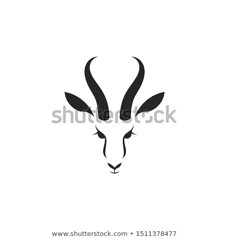 Stock photo: Springbok