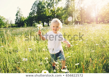 Сток-фото: Happy Family Having Fun On Daisy Field At Sunset