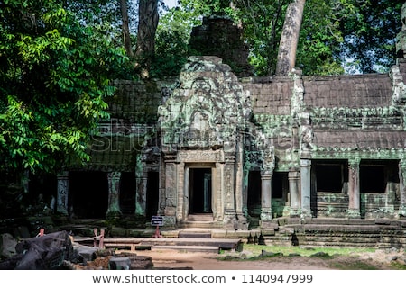 Сток-фото: Ta Prohm Temple With Giant Banyan Tree At Sunset Angkor Wat Com