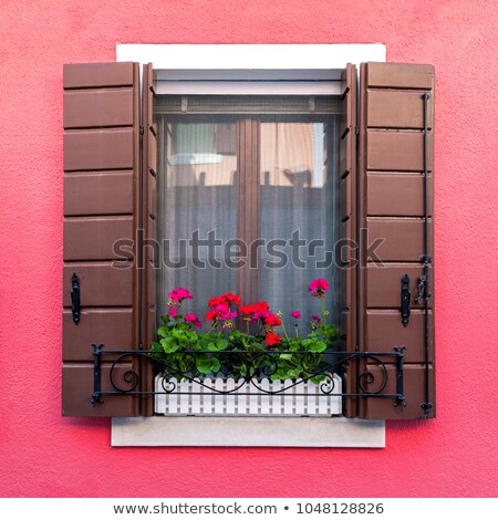 Сток-фото: Colorful Residential Window With Blooming Flowers In Burano