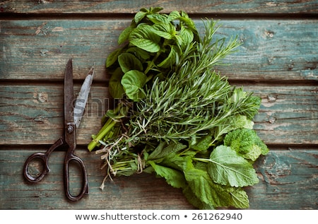 Stock photo: Fresh Herbs On Wood