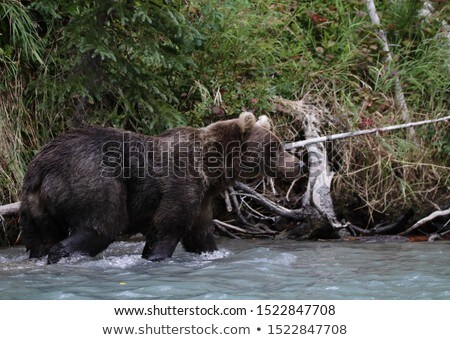 Stock photo: Lake On Alaska