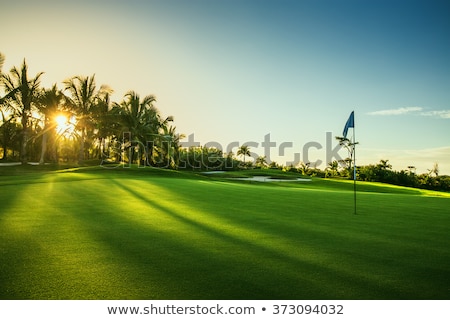 Foto d'archivio: Flag On Green In Golf Course