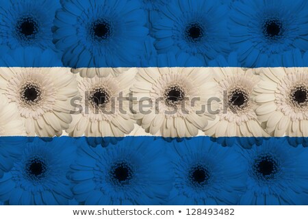 Stylized National Flag Of Nicaragua With Gerbera Flowers [[stock_photo]] © vepar5