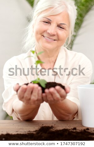[[stock_photo]]: Senior Woman Holding Young Spring Plant In Hands For Ecology And