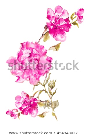 Foto stock: Grunge Paper For Congratulation With Beautiful Roses