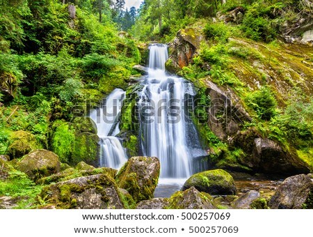 Foto d'archivio: Idyllic Triberg Waterfalls