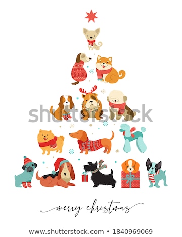 Foto stock: Holiday Dogs