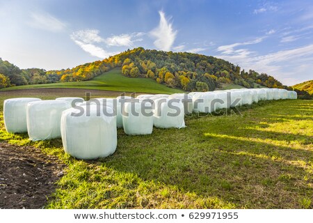 Stockfoto: Bale Of Straw In Automn In Intensive Colors