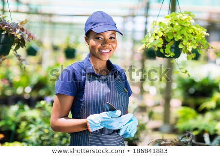 Stock photo: Beautiful Cute Woman Gardener Standing In Greenhouse Holding Vase Pot For Plants