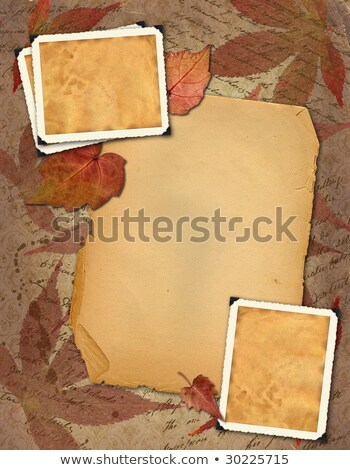 Stock photo: Framework For A Photo Or Invitations With Autumn Leaves