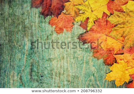 Stock photo: Autumn Leaves On The Grunge Wooden Cyan Desk