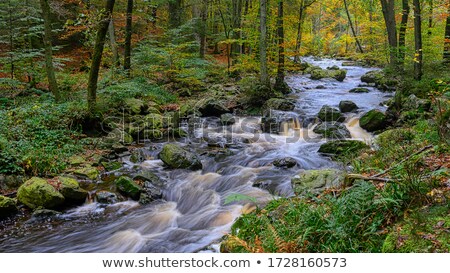 ストックフォト: Waterfalls In The River Hoegne