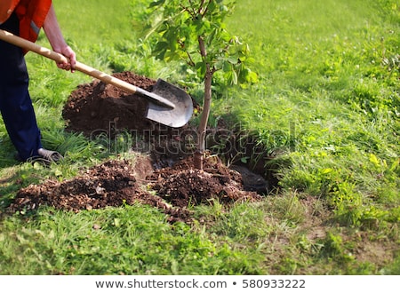 [[stock_photo]]: New Shovel In Male Hand