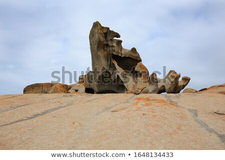 Zdjęcia stock: Lichens On Rock 01